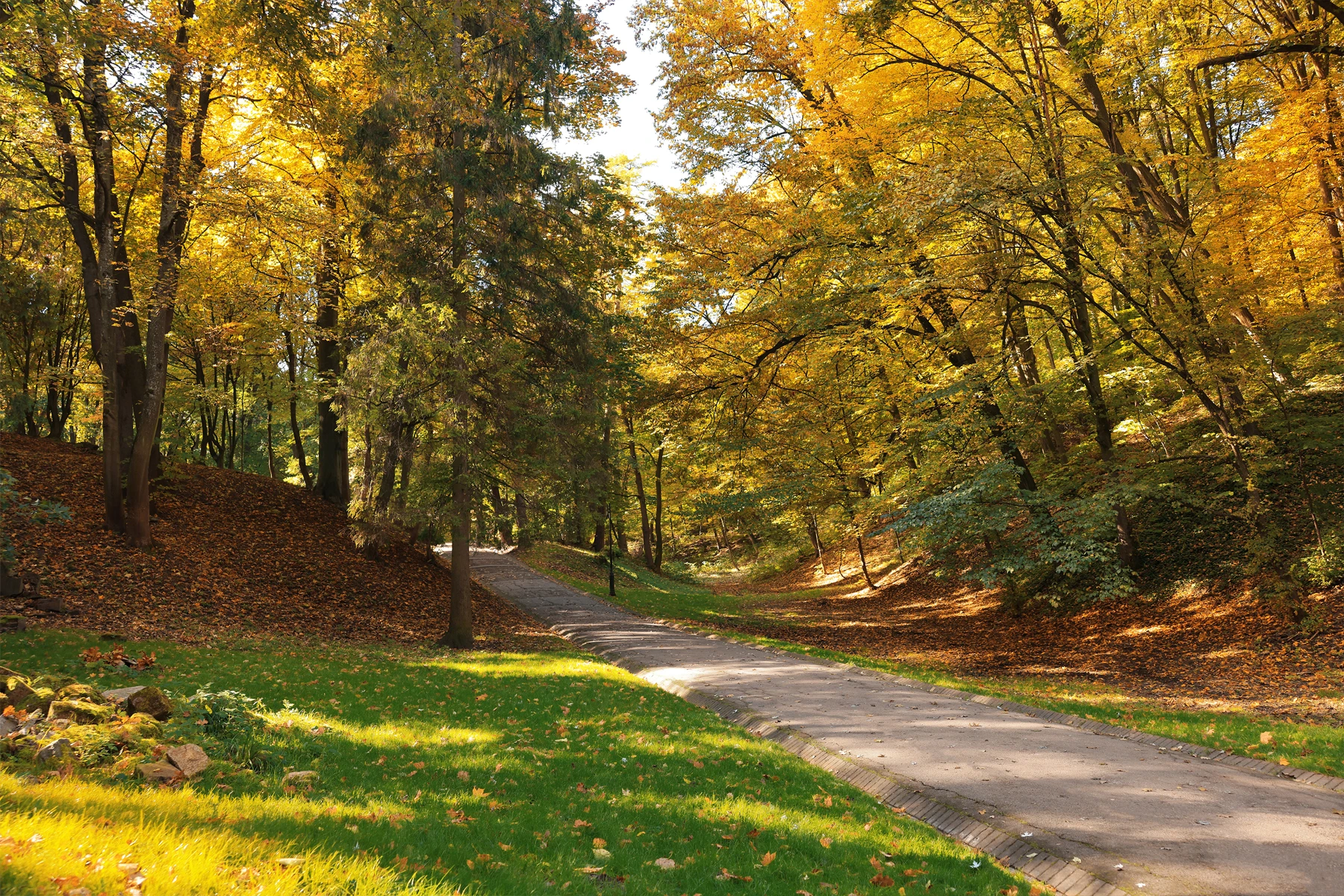 Rock Creek Park near Silver Spring