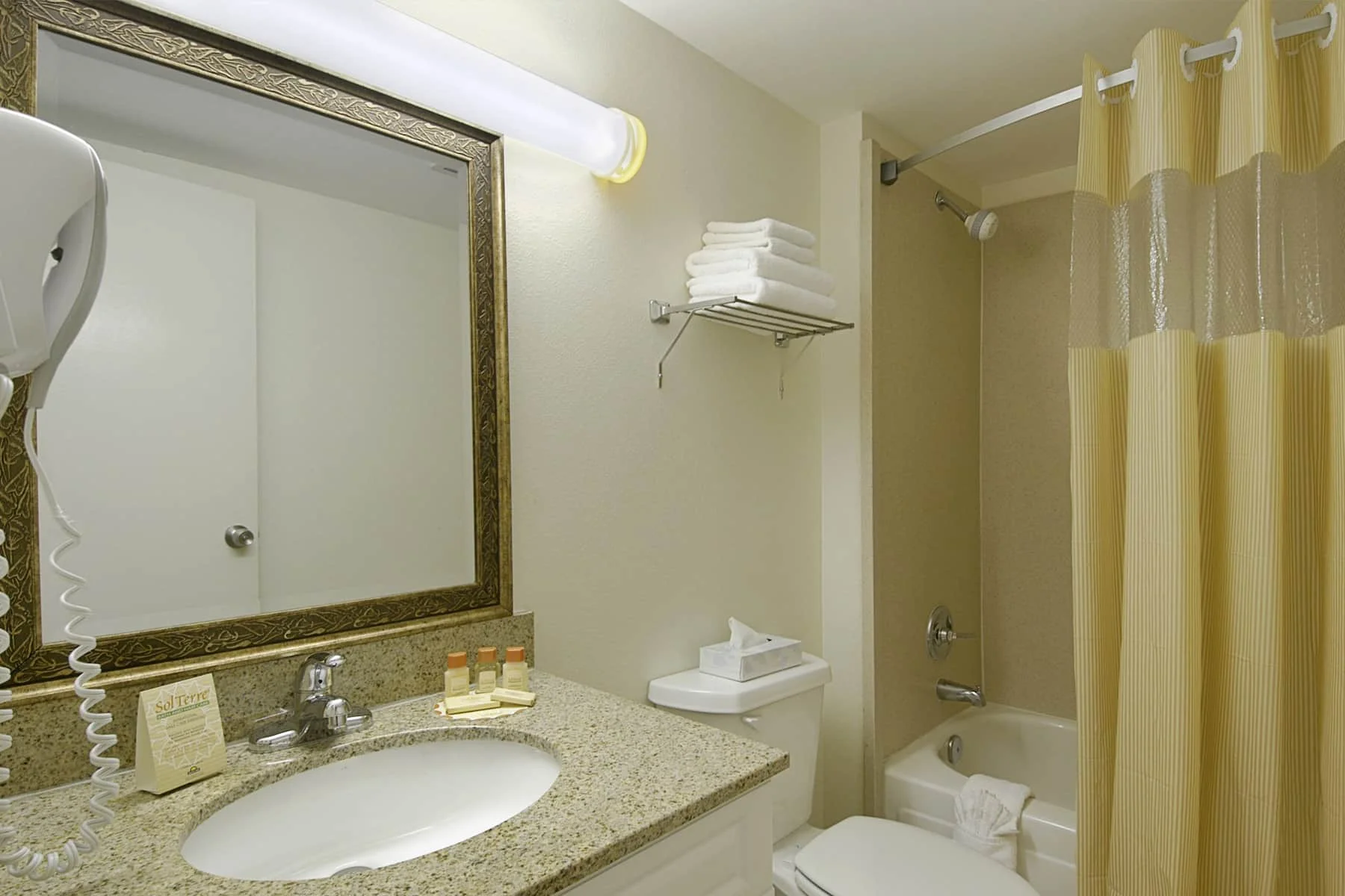 Premium Guest Room